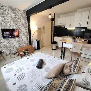 Le Jasmin Des Carmes - Hypercentre - Netflix Appartement